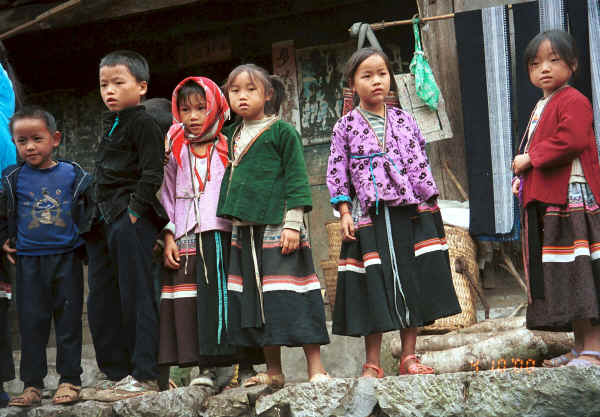Side comb Miao children standing against a background of indigo batik skirt tops - Long Dong village, De Wo township, Longlin country, Guangxi province 0010f04.jpg