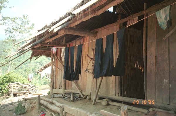 Indigo dyed hemp cloth hanging out to dry in a Green Hmong village in Lai Chau province, northern Vietnam 9510g03.jpg
