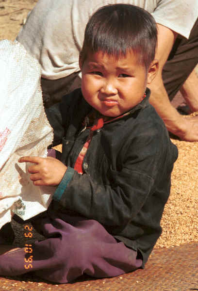 Green Hmong boy sitting with the rice as it dries in a village in Lai Chau province, northern Vietnam 9510g05.jpg (400327 bytes)